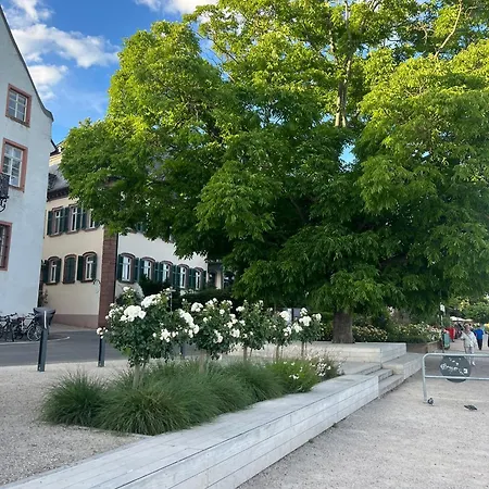 Luxurioeses 4-zimmer-apt Im Boutique-stil I Top-lage I Familienfreundlich I Balkon I Kueche I Netflix I Kostenloser Parkplatz I 105 M2 * Eltville am Rhein